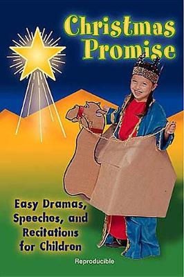 Christmas Promise Drama (Paperback)