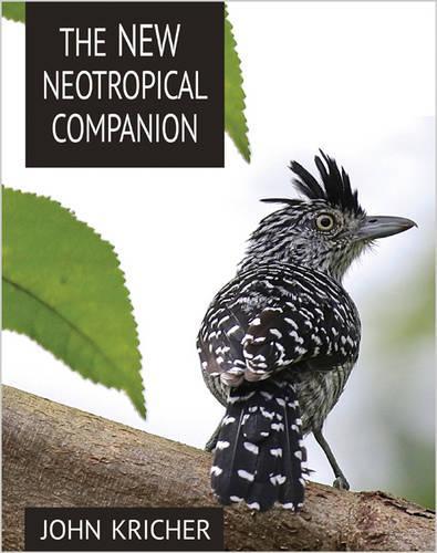 The New Neotropical Companion (Paperback)