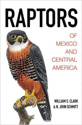 Raptors of Mexico and Central America (Hardback)