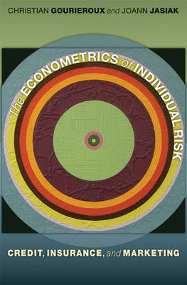 The Econometrics of Individual Risk: Credit, Insurance, and Marketing (Hardback)