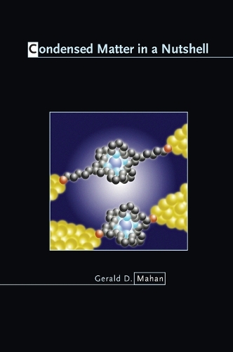 Condensed Matter in a Nutshell - In a Nutshell 8 (Hardback)