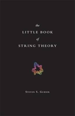 The Little Book of String Theory - Science Essentials (Hardback)