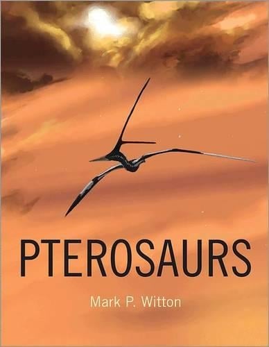 Pterosaurs: Natural History, Evolution, Anatomy (Hardback)