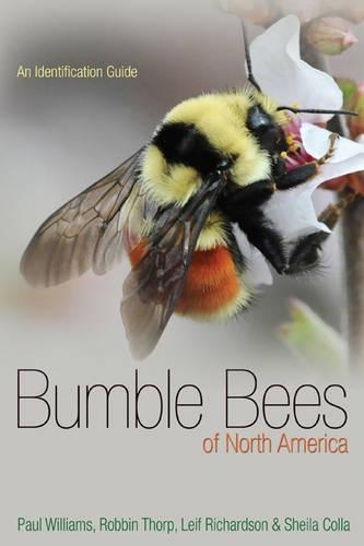 Bumble Bees of North America: An Identification Guide - Princeton Field Guides (Paperback)