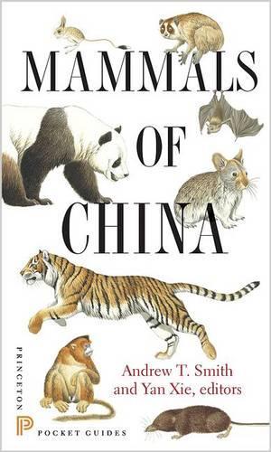 Mammals of China - Princeton Pocket Guides 11 (Paperback)