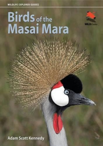 Birds of the Masai Mara - Wildlife Explorer Guides (Paperback)
