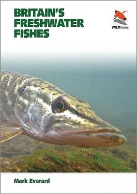 Britain's Freshwater Fishes - WILDGuides (Paperback)