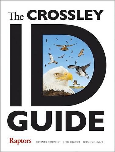 The Crossley ID Guide: Raptors - The Crossley ID Guides (Paperback)
