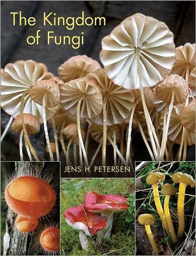The Kingdom of Fungi - Jens Henrik Petersen