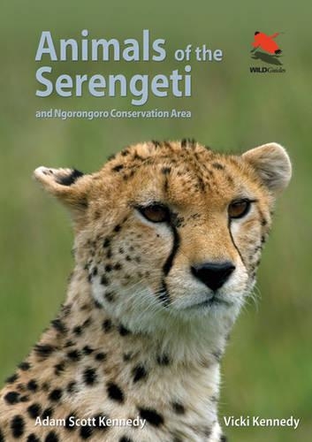 Animals of the Serengeti: And Ngorongoro Conservation Area - Wildlife Explorer Guides (Paperback)