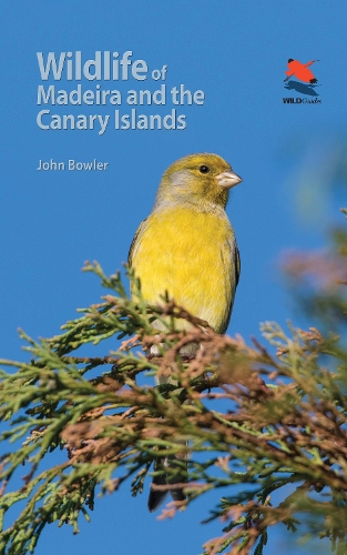 Wildlife of Madeira and the Canary Islands: A Photographic Field Guide to Birds, Mammals, Reptiles, Amphibians, Butterflies and Dragonflies - WILDGuides (Paperback)