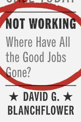 Not Working: Where Have All the Good Jobs Gone? (Hardback)