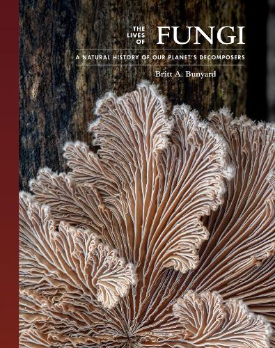 The Lives of Fungi: A Natural History of Our Planet's Decomposers - The Lives of the Natural World (Hardback)