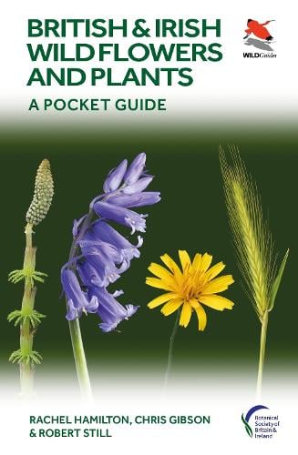 Rachel Hamilton British and Irish Wild Flowers and Plants