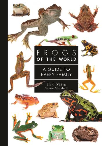 Princeton University Press Frogs Of The World