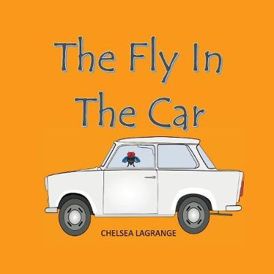 Fly in the Car (Paperback)