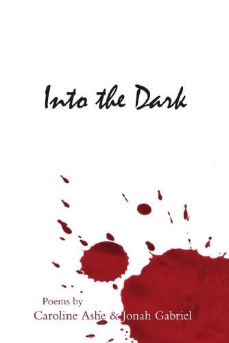 Into the Dark (Paperback)