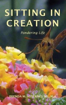 Sitting in Creation: Pondering Life (Paperback)