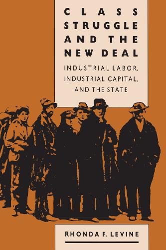 Class Struggle and the New Deal: Industrial Labour, Industrial Capital and the State - Studies in historical social change (Paperback)