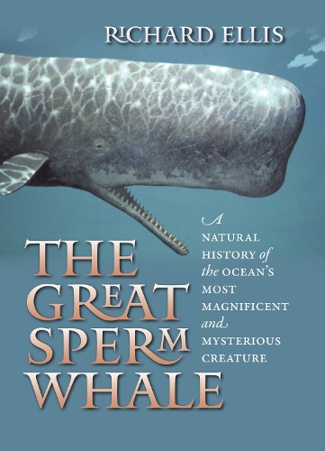The Great Sperm Whale: A Natural History of the Ocean's Most Magnificent and Mysterious Creature (Hardback)