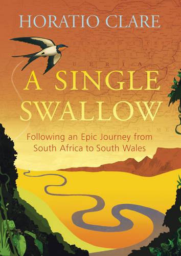A Single Swallow: Following an Epic Journey from South Africa to South Wales (Hardback)