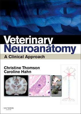 Veterinary Neuroanatomy: A Clinical Approach (Paperback)