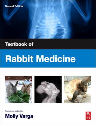 Textbook of Rabbit Medicine (Paperback)