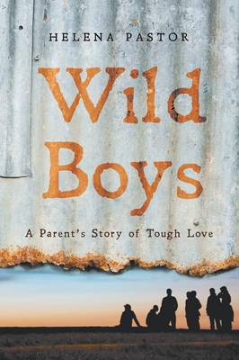 Wild Boys: A Parent's Story of Tough Love (Paperback)