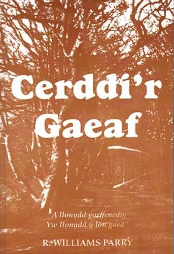 Cerddi'R (Paperback)