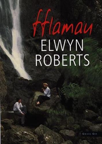Fflamau (Paperback)
