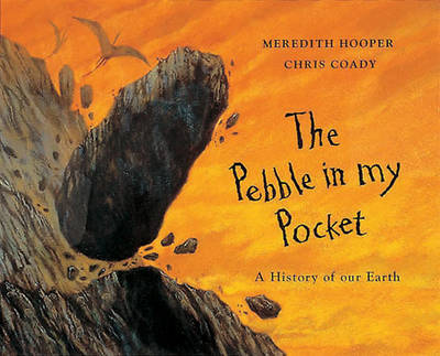 The Pebble In My Pocket By Meredith Hooper Chris Coady Waterstones