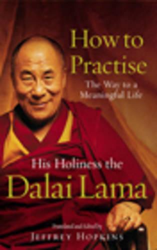 How To Practise: The Way to a Meaningful Life (Paperback)
