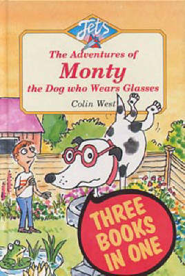 Adventures of Monty, the Dog Who Wears Glasses - Jets (Hardback)
