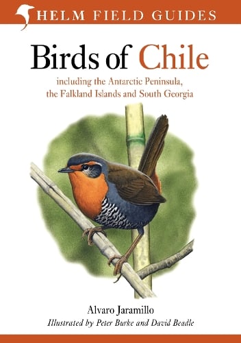 Birds of Chile: Including the Antartic Peninsular, the Falkland Islands and South Georgia - Helm Field Guides (Paperback)
