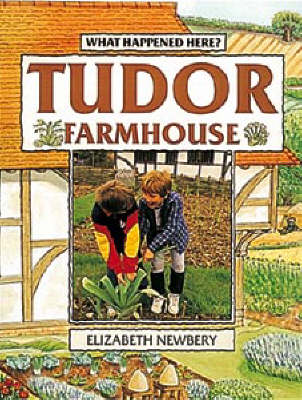 Tudor Farmhouse - What Happened Here (Paperback)