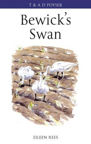 Bewick's Swan - Poyser Monographs (Hardback)