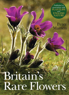 Britain's Rare Flowers (Paperback)