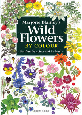 Wild Flowers by Colour by Marjorie Blamey | Waterstones