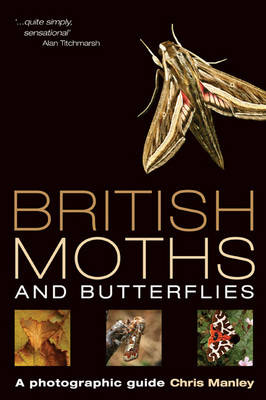 British Moths and Butterflies: A Photographic Guide (Paperback)