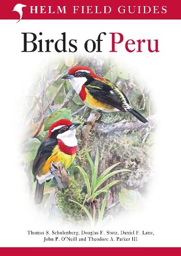 Birds of Peru - Thomas S. Schulenberg