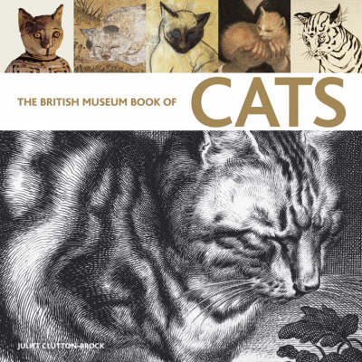 The British Museum Book of Cats: Ancient and Modern (Paperback)