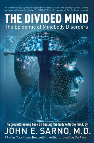 The Divided Mind: The Epidemic of Mindbody Disorders (Paperback)