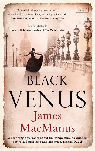 Black Venus (Paperback)