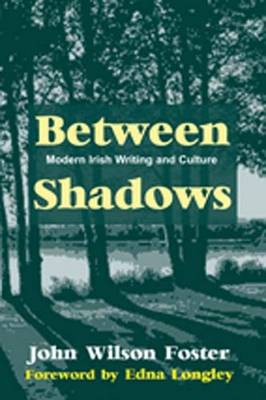 Between Shadows: Modern Irish Writing and Culture (Hardback)