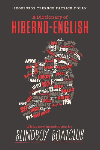 A Dictionary of Hiberno English (Hardback)