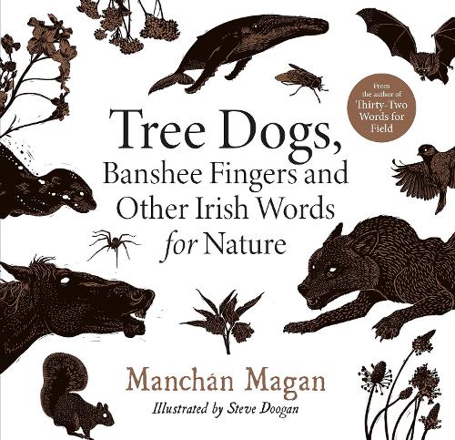 Tree Dogs, Banshee Fingers and Other Irish Words for Nature (Hardback)