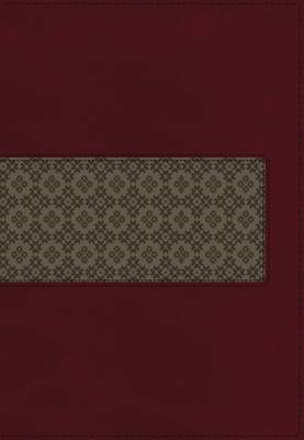 KJV Study Bible, Leathersoft, Maroon/Brown, Indexed, Red Letter Edition: Second Edition (Leather / fine binding)