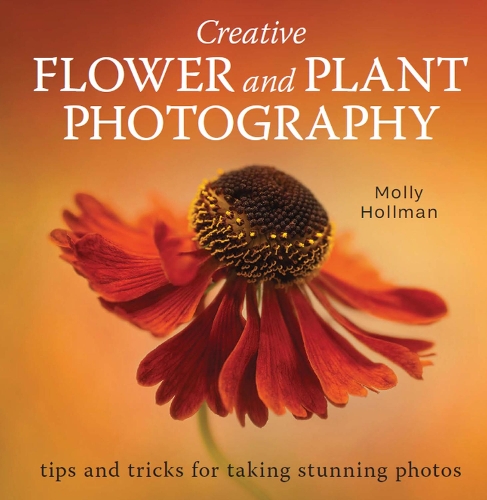 Creative Flower and Plant Photography: tips and tricks for taking stunning shots (Paperback)