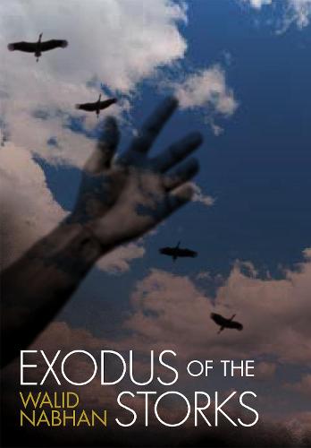 Exodus of the Storks (Hardback)