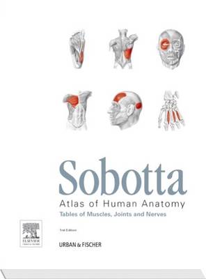Sobotta Tables of Muscles, Joints and Nerves, English/Latin: Tables to 15th ed. of the Sobotta Atlas (Paperback)